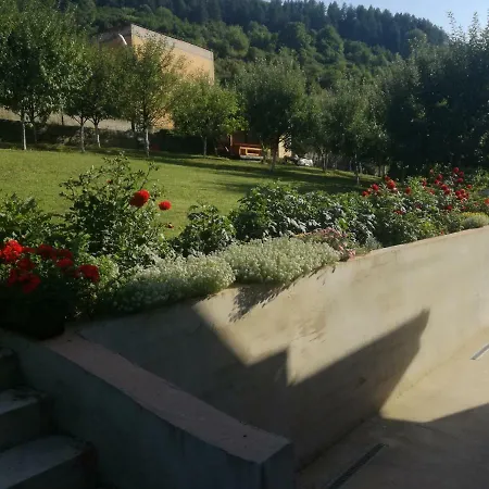 Edo * Visoko